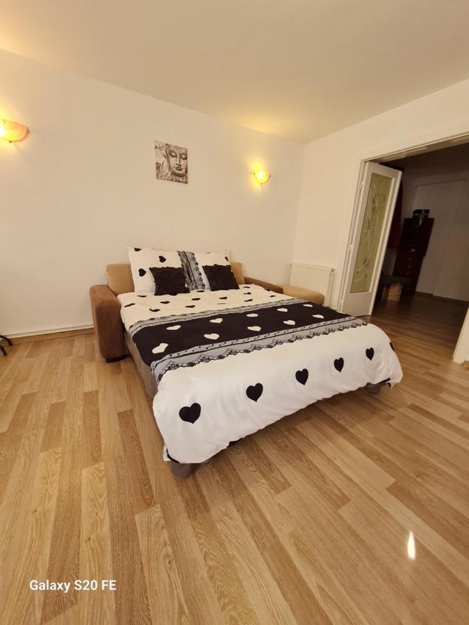 Appartement Ambient Cismigiu *