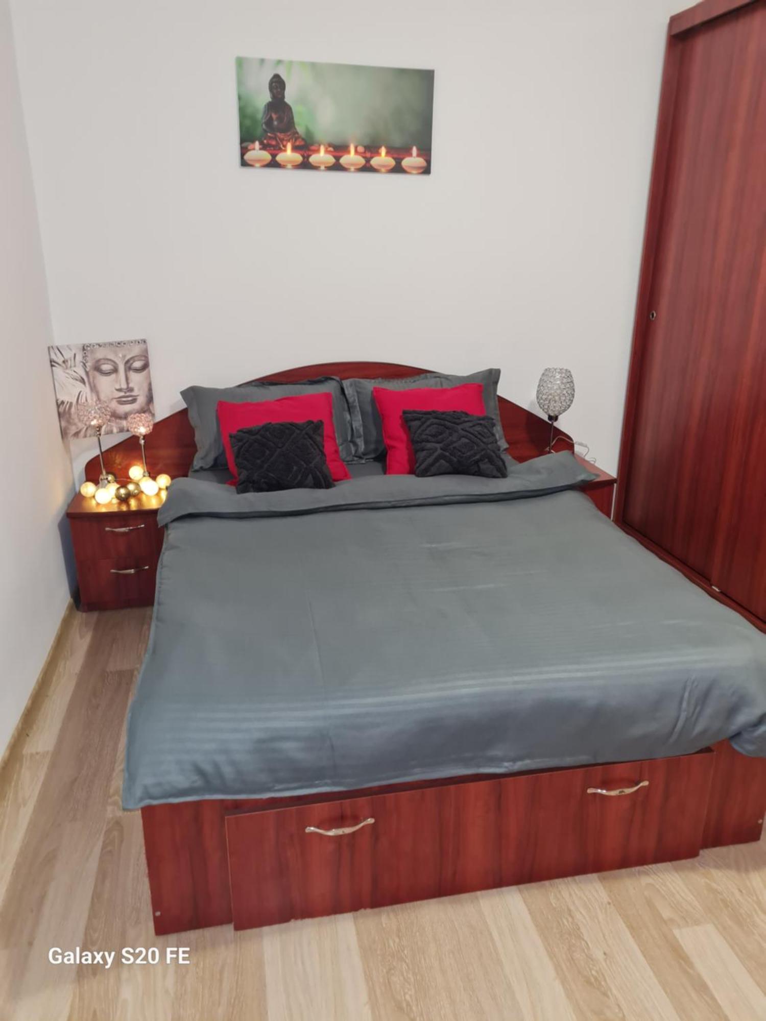 Ambient Cismigiu Apartment Bukarest